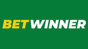 Exploring BetWinner Withdrawal Options A Comprehensive Guide